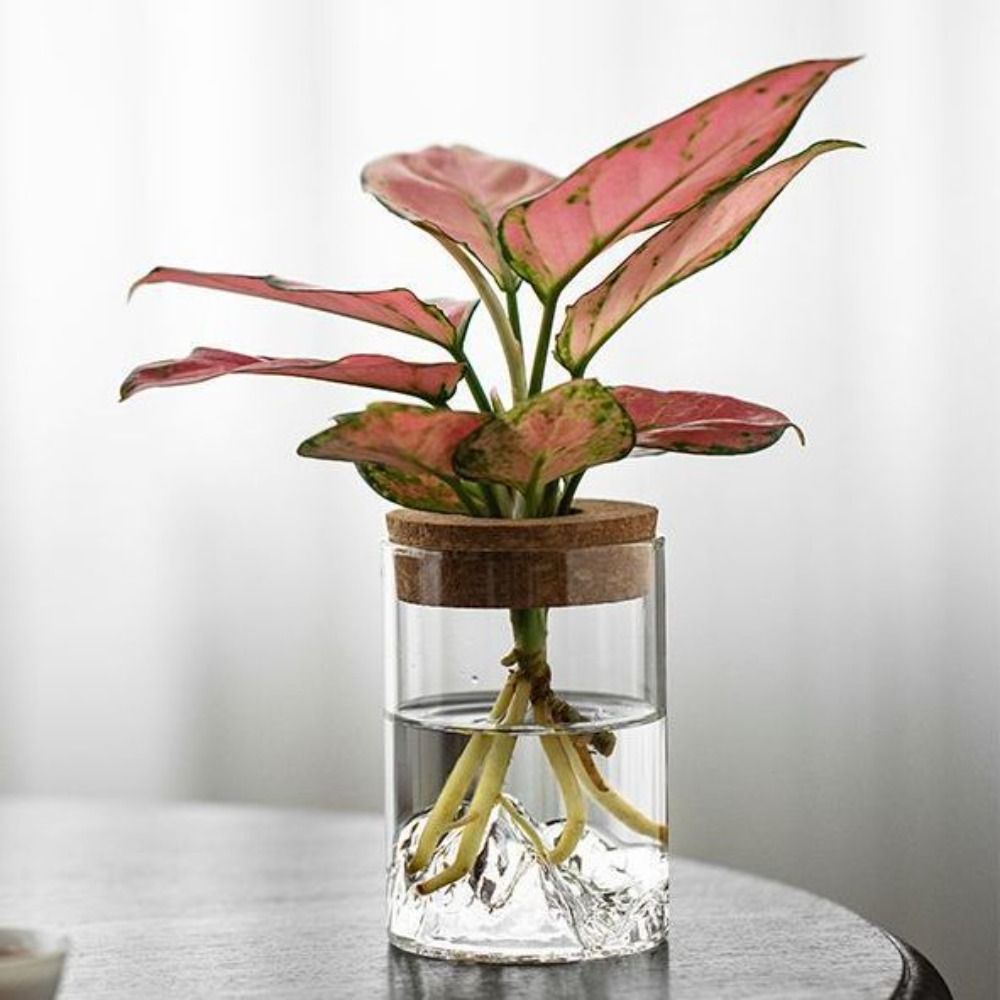 Plants Holder Glass Flower Vase Thickened Transparent Flower Pot Mini Mountain Viewing Bottle
