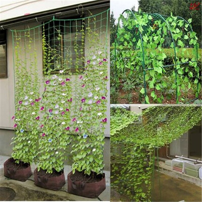 Filet en rotin pour plantes grimpantes, filet horticole, pour fleurs, Fruits et autres ornements de jardin, filet en rotin et filet en plastique