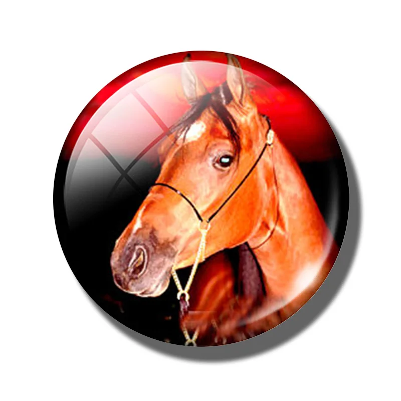 Pferd 30 MM Kühlschrank Magnet Glas Kuppel Cabochon Magnetischen Kühlschrank Aufkleber Hinweis Halfter Nette Tiere Wohnkultur: Orange