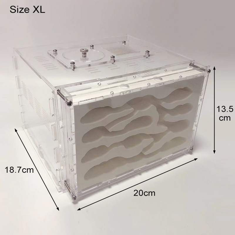DIY Gypsum Ant Farm Plaster Ant Nest with Feeding Area Moisturize Ecological Ant House Workshop for Pet Anthill: XL