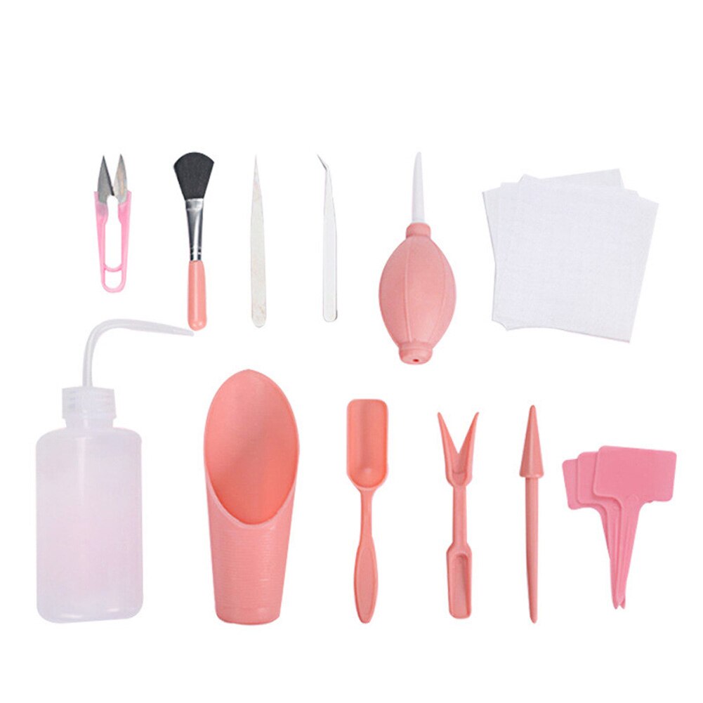 Mini Kit de plantation de plantes succulentes, 12/16 pièces, Kit de semis pour la maison