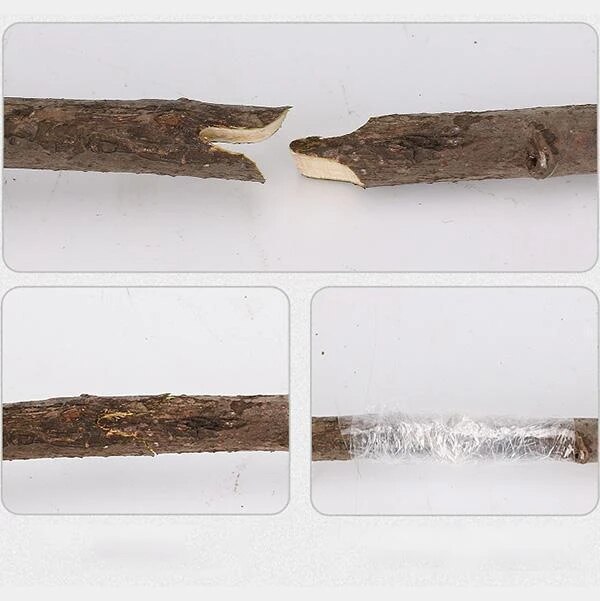 Nursery Grafting Tool Garden Branch Cutter Plant Cut Scissor Shear floristry grape Secateur Fruit Tree pruner pruning vine Seedl