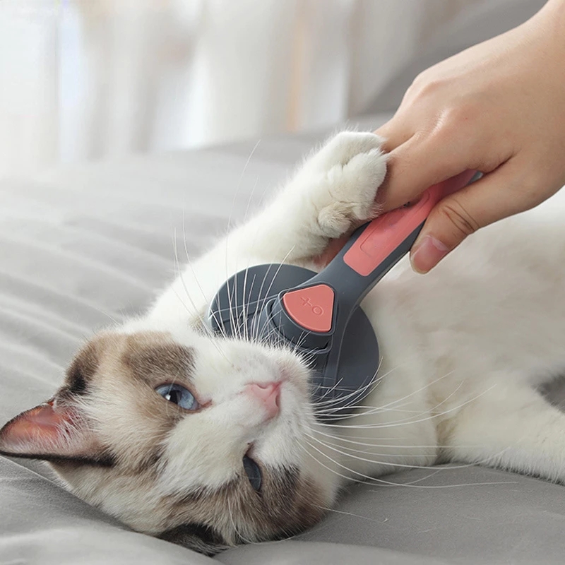 Kat Kam Borstel Pet Grooming Kam Zelfreinigende Kam Hond Naald Kam Comfortabele Drijvende Haar Verwijderen Beauty Producten
