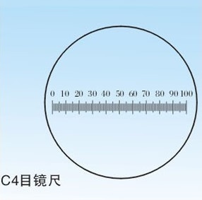 Diameter 19mm Microscope Slides Reticle Calibrating Slide Ruler Microscope Calibration Ruler Stage Micrometer