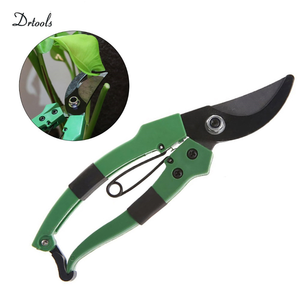 Drtools – ciseaux de jardin tranchants en acier, outil de greffage, sécateur de taille pour arbres fruitiers, bonsaï