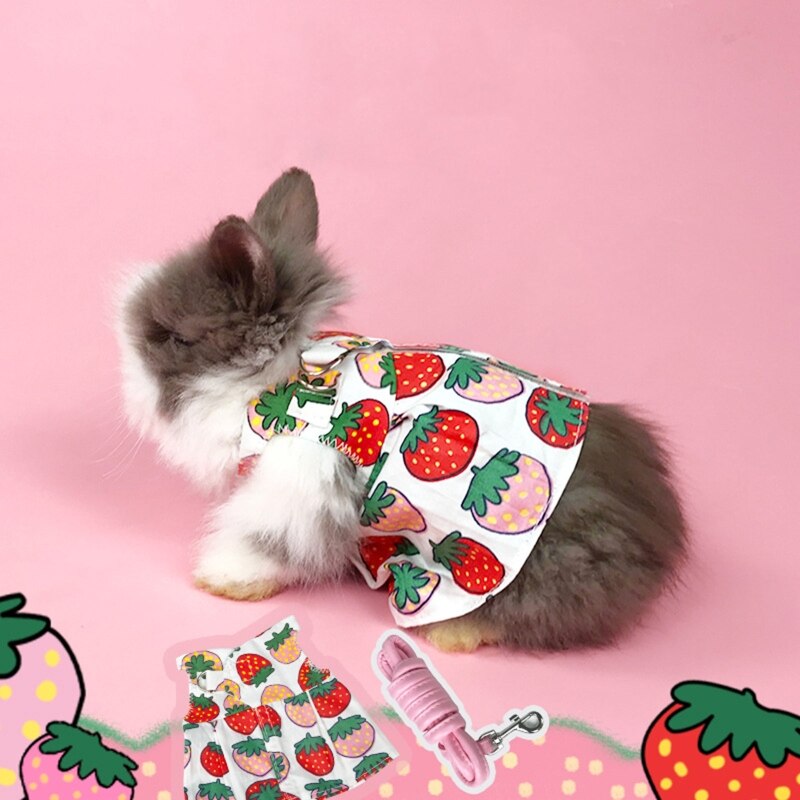 Ensemble harnais et laisse pour lapin, vêtements pour cochon d&#39;inde, gilet, jolie robe mignonne pour petit furet Hamster