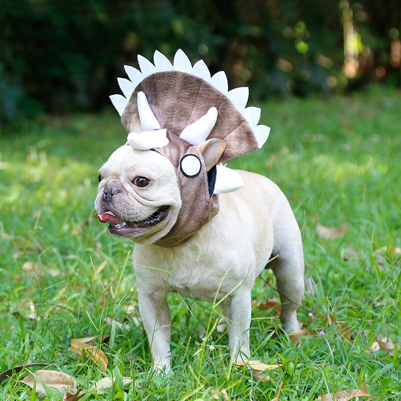 Halloween Grappige Hond Hoeden Voor Kleine Honden En Katten Leuke Dinosaurus Chihuahua Pug Hond Sjaal Kleding Accessoires 10E