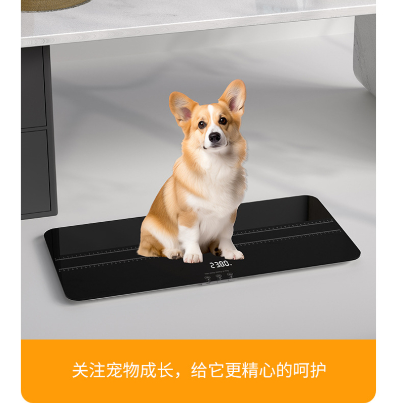 Huishoudelijke huisdierweegschaal Kat Hond Weegapparaat Huishoudelijk klein dier grote huisdierziekenhuis Precisie elektronische weegschaal