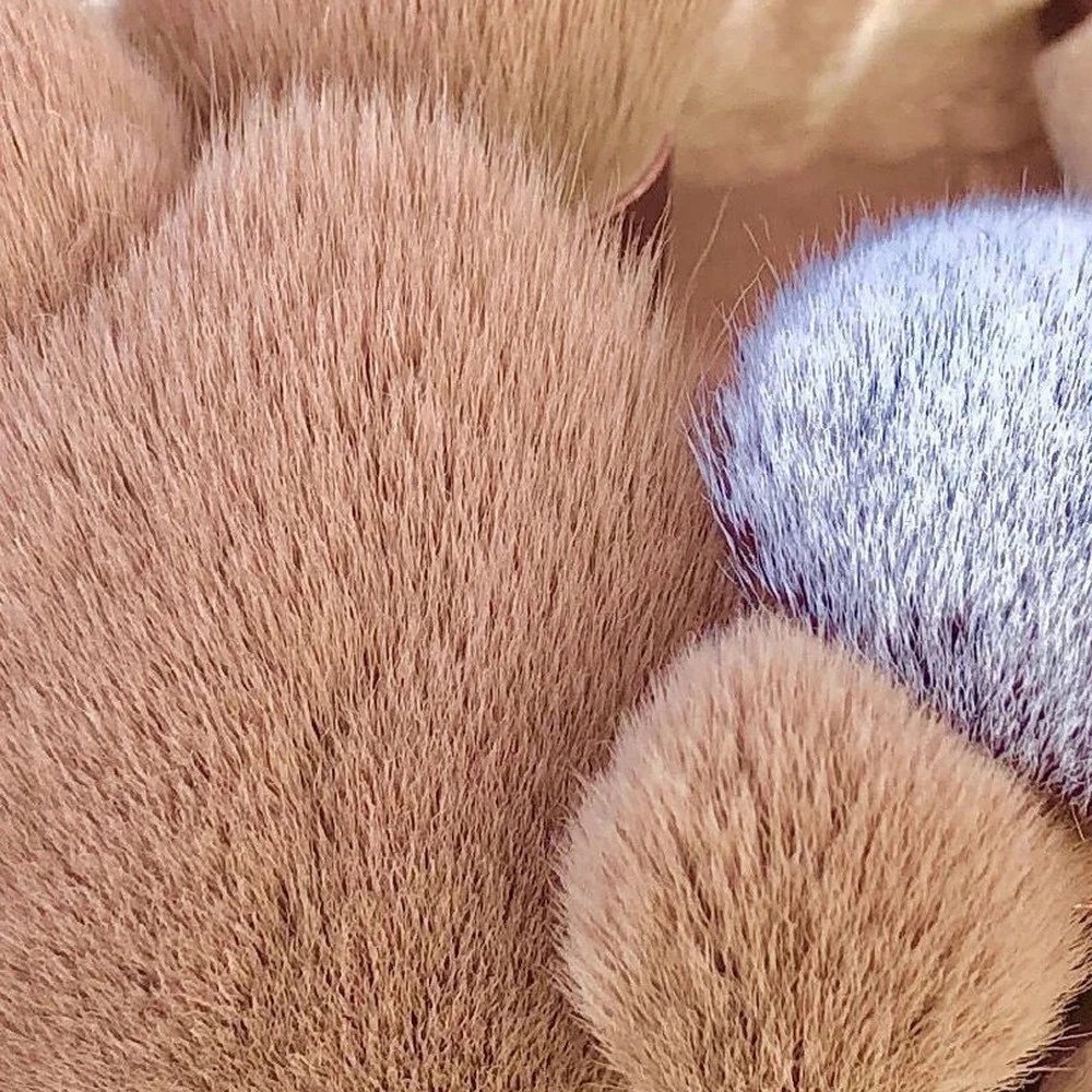 13-delige make-upborstels Set Oogschaduw Foundation Dames Cosmetische borstel Oogschaduw Blush Schoonheid Zachte make-up gereedschapstas