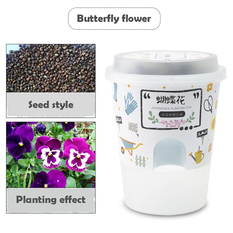 Children's handmade DIY potted plants Little gardener Fruit and vegetable cultivatio educational toys: butterfly flower