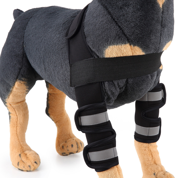 Pet Guards Knee Guards Dog Leg Guards Pet Supplies Dog Surgery Injury Protective Cover: L / Fluorescent black