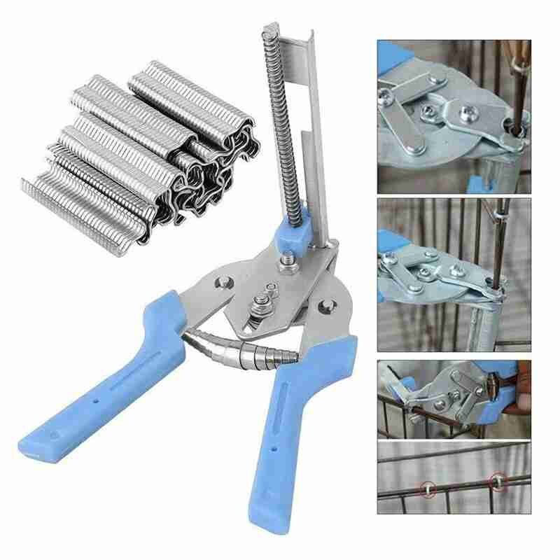 Bevestiging Klem Rvs 600 Stuks Nagels Dier Installatie Konijn Kwartel Vogels Kooien Gekooide Klem Bevestiging Schroef Poult Y7B6