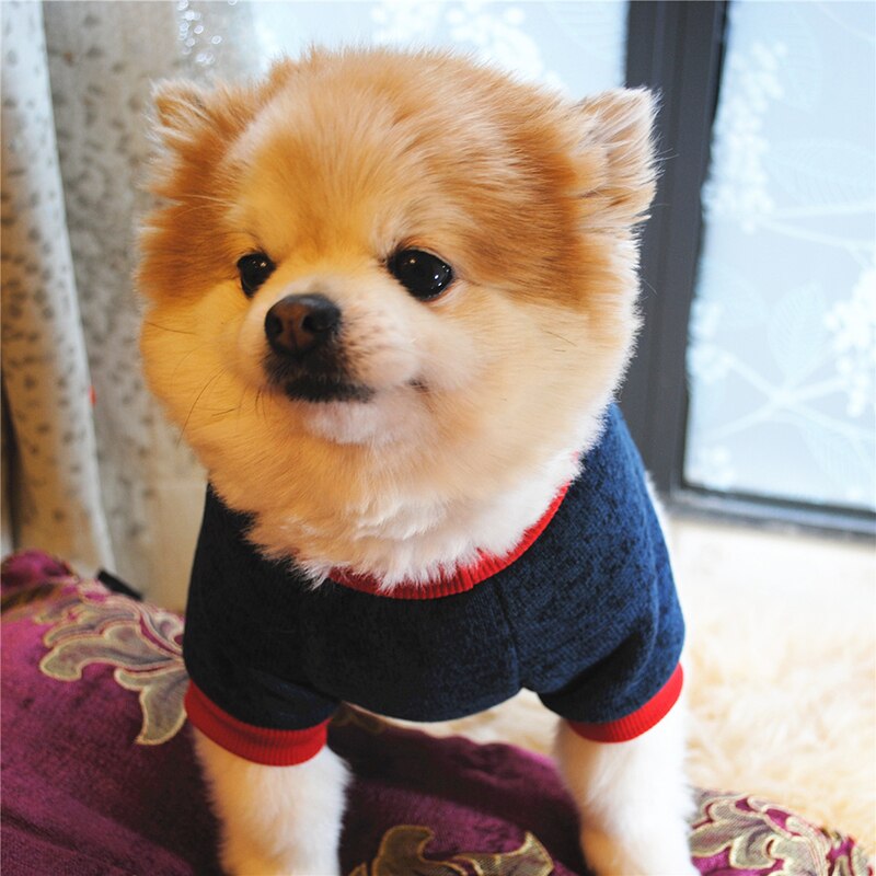 Efterår vinter varm sød hundetøj kortærmet frakke brev kostume sweatshirt lille medium hundetøj