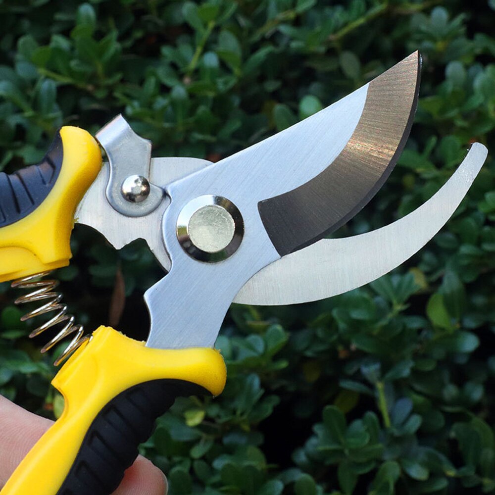 Stainless Steel Scissors Pruner Secateurs Pruning Bypass Sharpener Loppers Garden Tool Bonsai Flower Cultivation Snip Floral