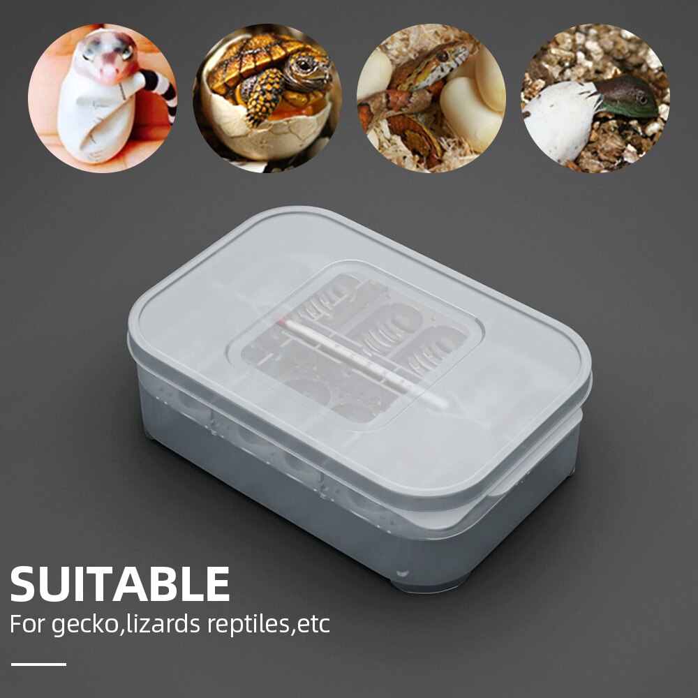 Bandeja de Reptiles para huevos, caja de Reptiles, caja de crianza de Reptiles, caja de incubación para Reptiles apta para incubar Reptiles lagartos de serpiente