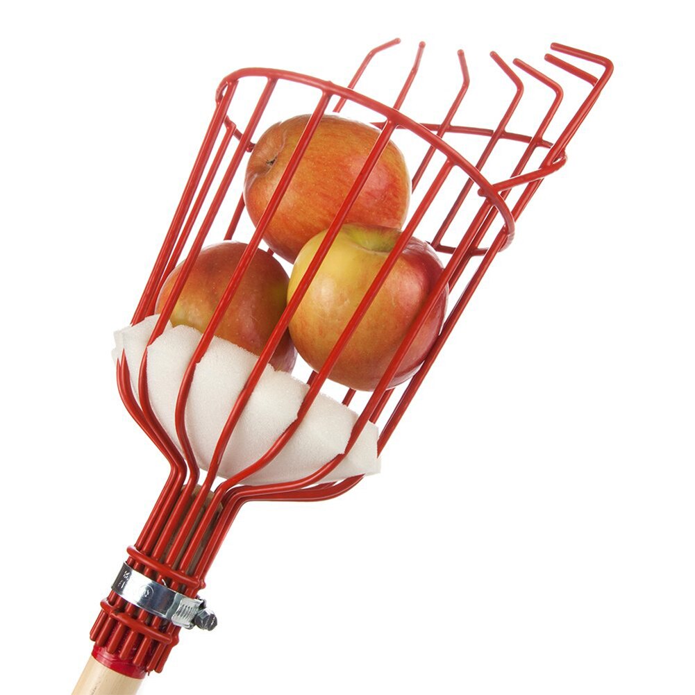 Gartneri haven frugtplukker kurv æble pære fersken plukke fangst værktøj