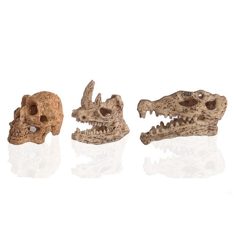 Ornements de paysage d'aquarium miniatures en forme de crâne, faux animaux aquatiques, poisson, animal précieux, fournitures d'embellissement de bricolage