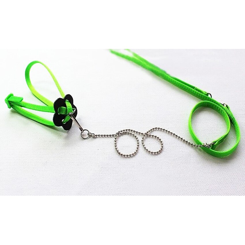 Arnés de pájaro para loro ajustable de 1,2 M, Correa Multicolor ligera suave de: Green