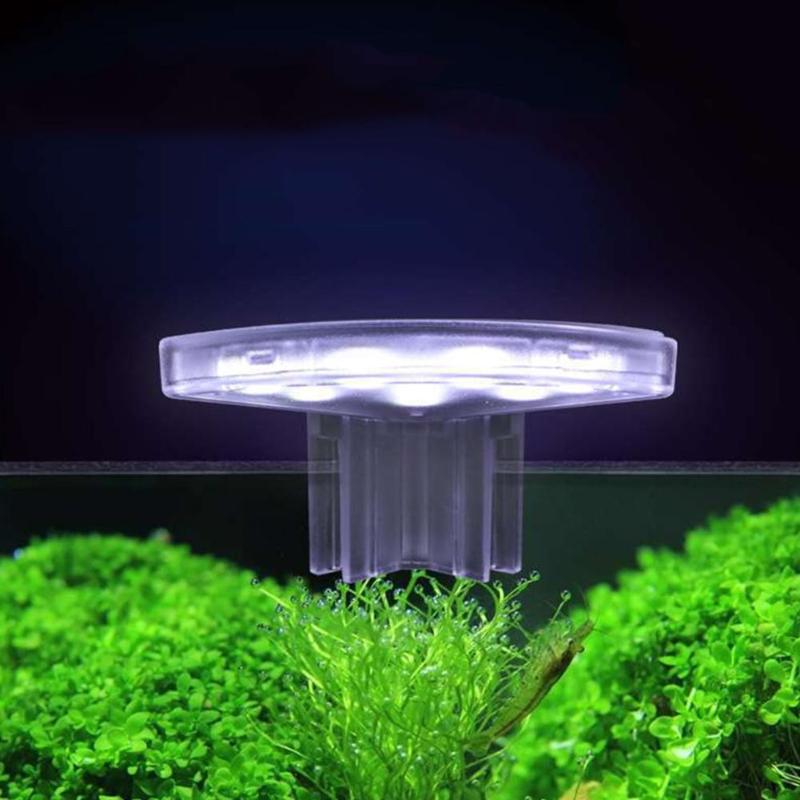 Mini vedenpitävä klipsi led akvaariovalo 5w vesikasveja kasvaa lamppukasveja kasvaa kevyt clip-on lamppu kala akvaario vedenpitävä
