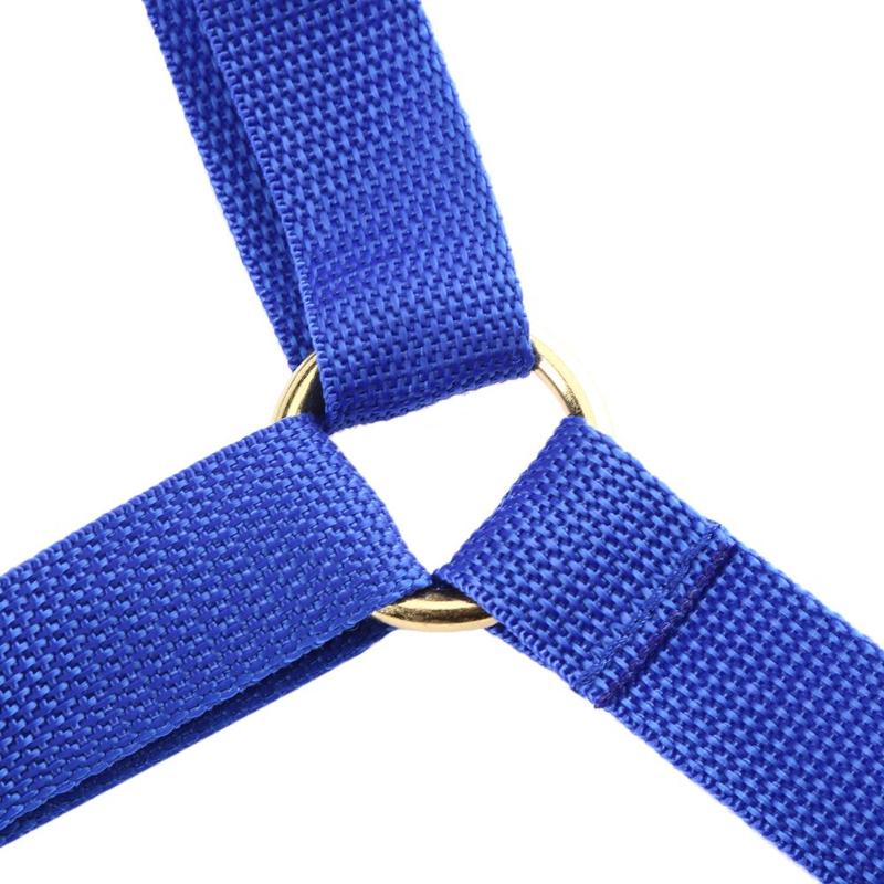 Chaleco de pesca, chaleco protector de cintura, cinturón de pesca, caña de pesca, Jigging, chaleco protector de cintura, soporte cardán 39cm * 49cm herramientas de pesca