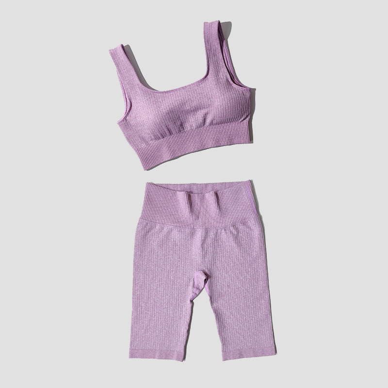 WAREBALL Seamless Women Yoga Set Sports Bra Sports Shorts Fitness Wear Outfit 2 Piece Gym Yoga Sets Workout Suits: S(45-55KG) / Purple