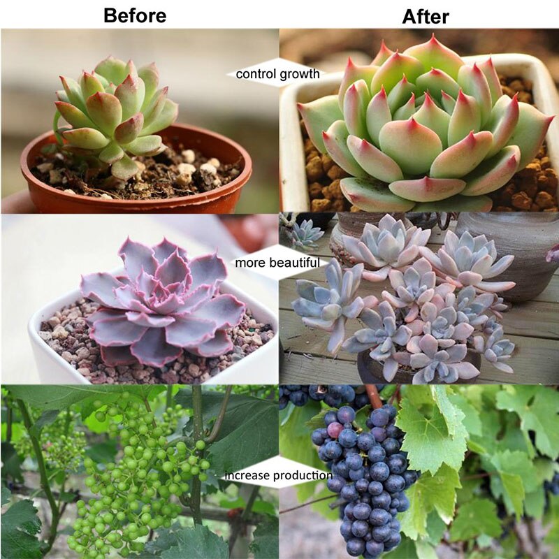 Led Plant Grow Light Full Spectrum Indoor Flower Growbox Grow Box Lamp Phyto Power Usb 5V 2.5W Meaty Plant 14 LEDS lights