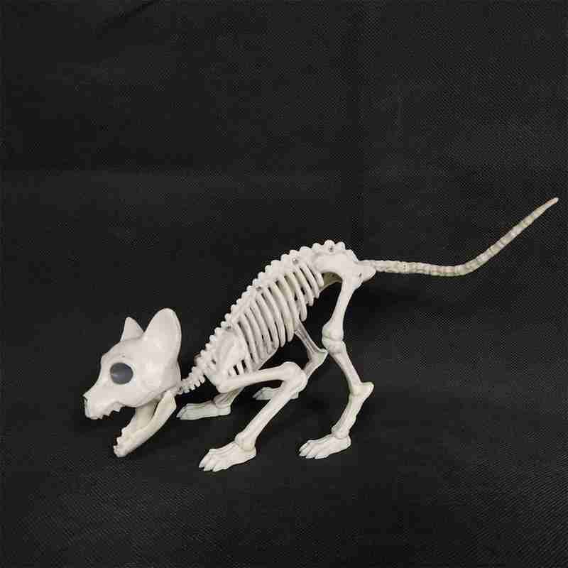 Scheletro di animale Del Gatto Del canna Del topo Modello di Scheletro M1K8