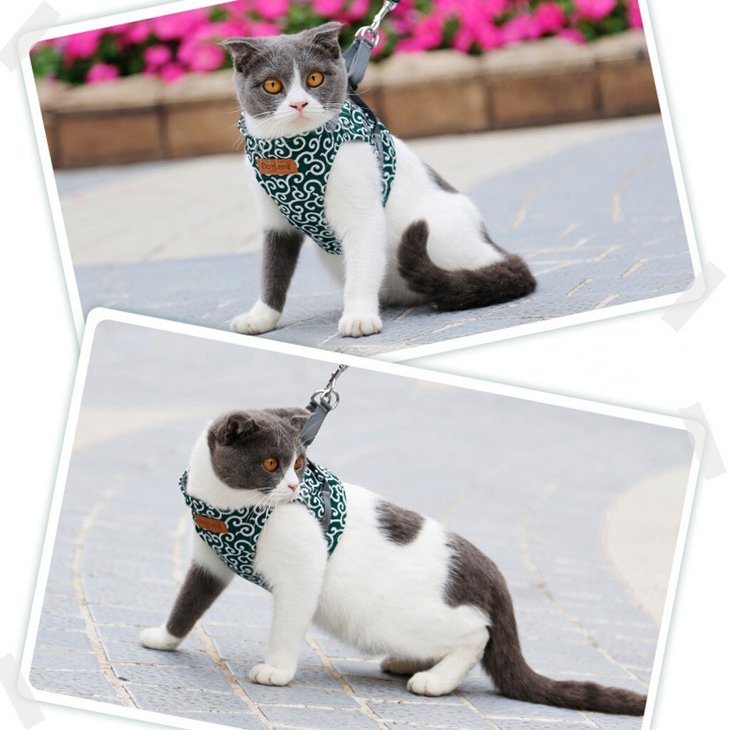 Cat Rope Cat Chain Cat Traction Rope Chest Strap P... – Vicedeal