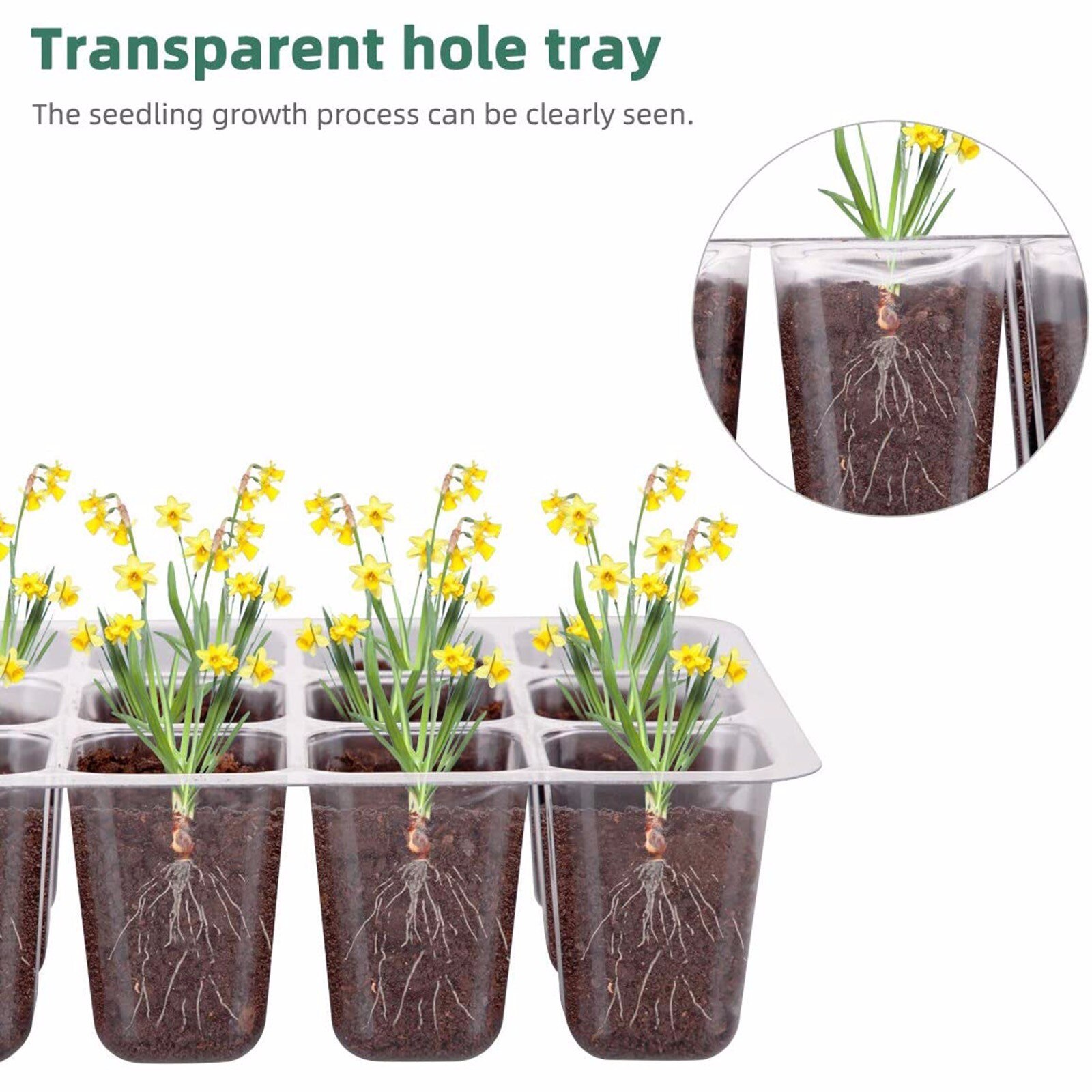 Plateaux de démarrage de graines, plateau de semis (12 cellules par plateau), humidité réglable plateau de Germination des plantes, jardinière Pot de fleur avec 5 paquets
