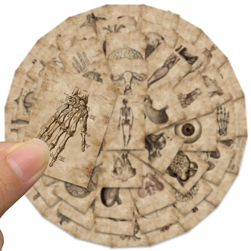 56Pcs Human Anatomy Physiology Heart Skull Internal Organs Sticker Skeleton Graffiti Stickers Luggage Laptop Sticker