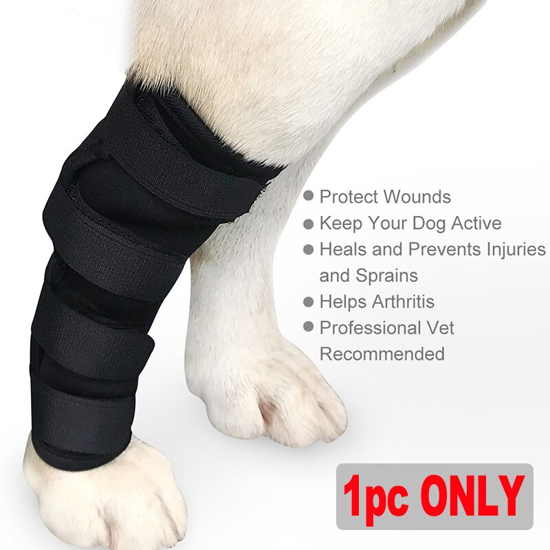 Dog Support Pet Knee Pads Recover Injury Legs Pet Hock Brace Dog Protector Dog Legs Hind Protector Pet Dog Supplies: M