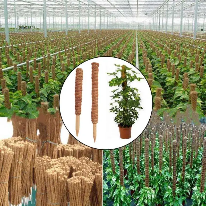 Palo de tótem de Coir para plantas trepadoras, palo de coco seguro para jardinería, vides y enredaderas, soporte para plantas