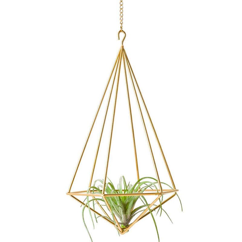 Hanging Air Plant Holder Modern Geometric Planter With Chain Tillandsia Container Himmeli Wall Decor, Gold: Default Title