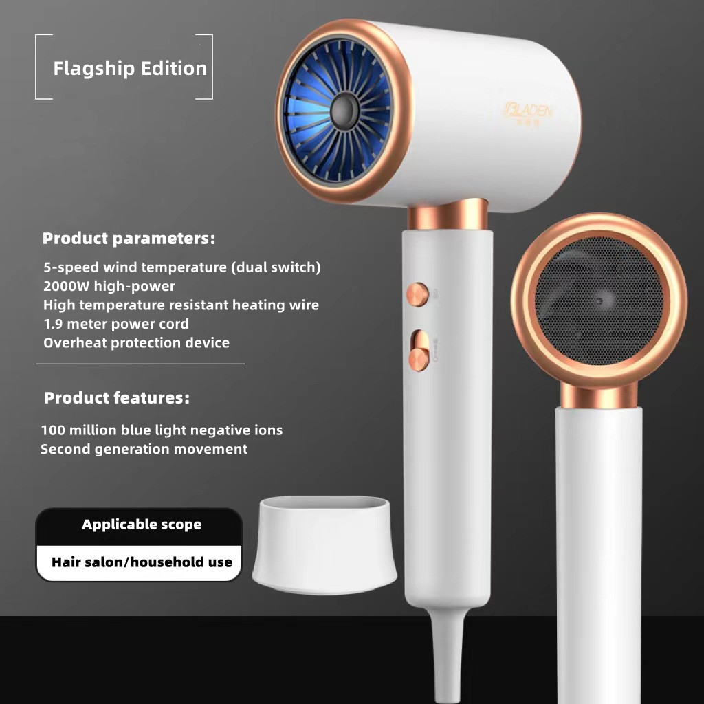 Generation High-Speed Hair Dryer 2400W High-Power Blue Light Negative Ion Ultra Silent Recommended For Home Hair Salons: plum / EU