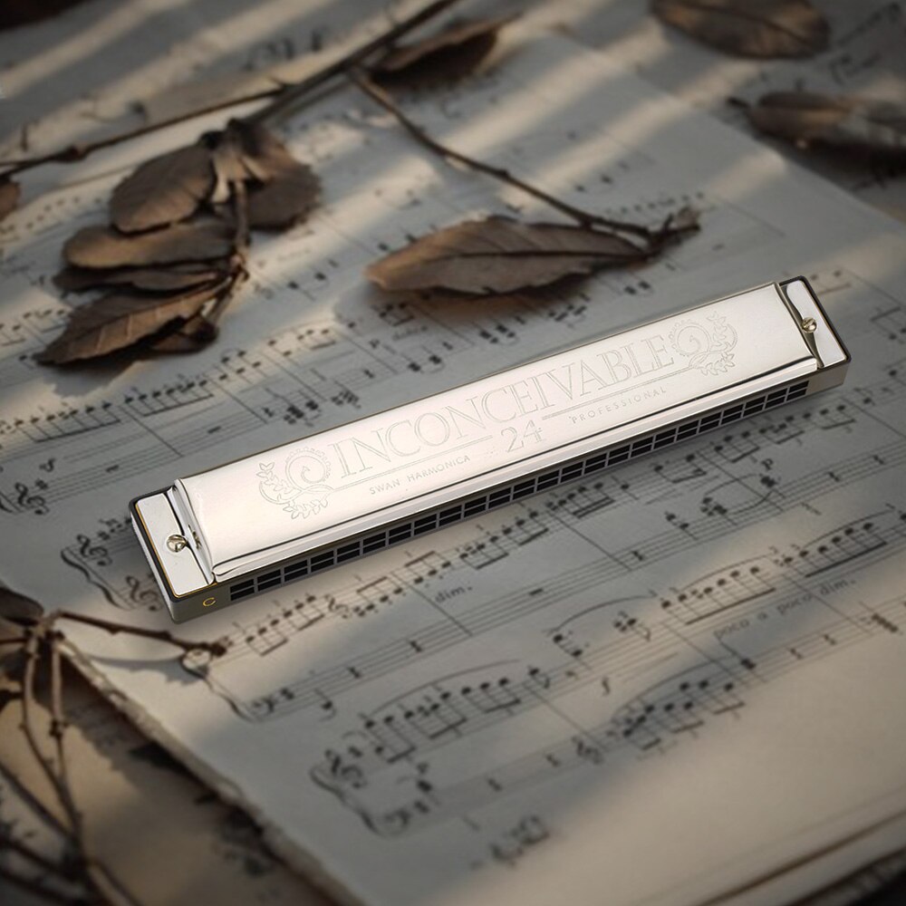 Schwan Tremolo Mundharmonika Leistung Mundharmonika 24 Löcher 48 TöNe C Schlüssel Mund Orgel mit Schwarz Kasten oben