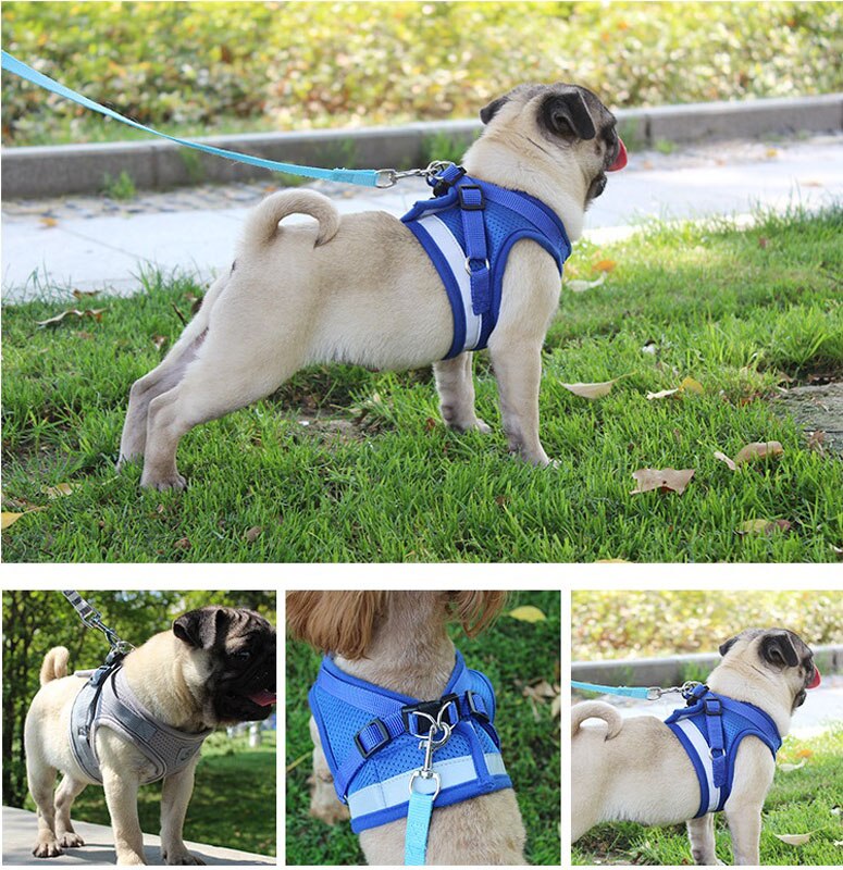 Puppy Borstband Reflecterende Veiligheid Pet Dog Harness En Leash Set Pug Chihuahua Bulldog Harnassen Hond Vest Voor Kleine Medium honden