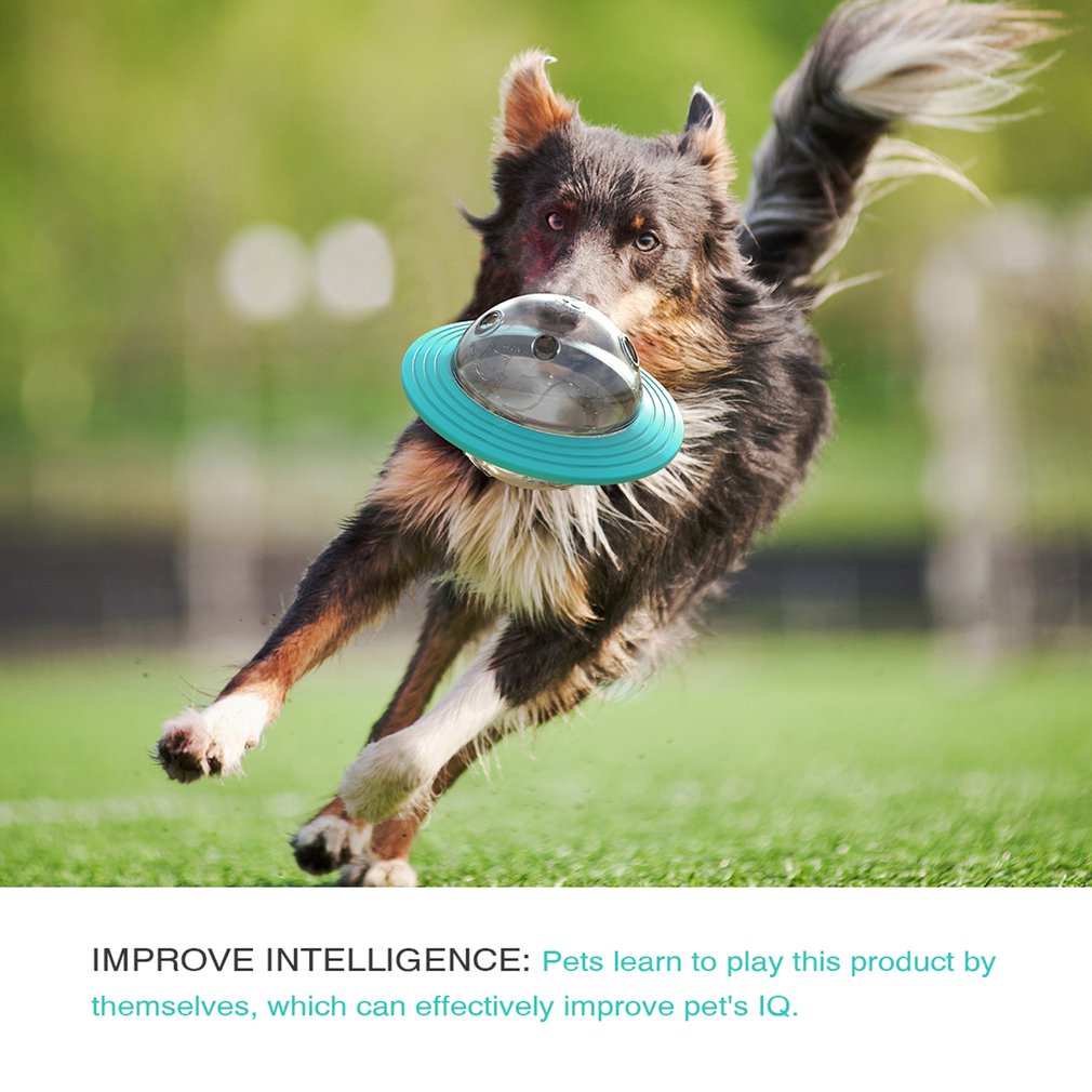 Dog Toy Tumbler Pet Feeder Bite Resistant Interactive Food Treat Ball Dispenser Intellectual Training Feed Bowl Pet Supplies