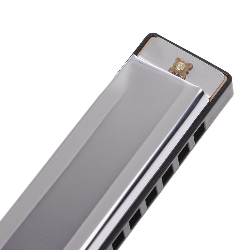 Blues Harmonica 10 Holes Key of C Musical Instrument Stainless Steel with Case