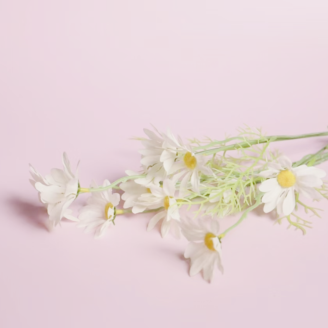 55*120cm sólido fosco pvc anti-rugas à prova dwaterproof água branco foto fundos pano de fundo para fotografia objeto tiro: Rosa