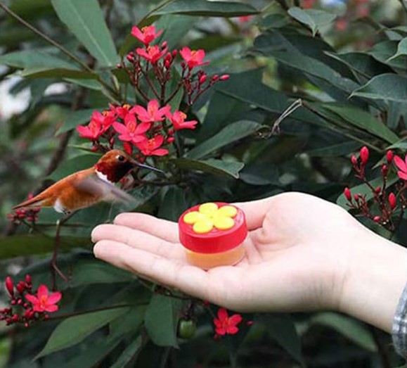 Mini Handheld Hummingbird Hand Feeders Drinker Plastic Seed And Water Outdoor Window Suction Cup Bird Feeders Outdoors Garden