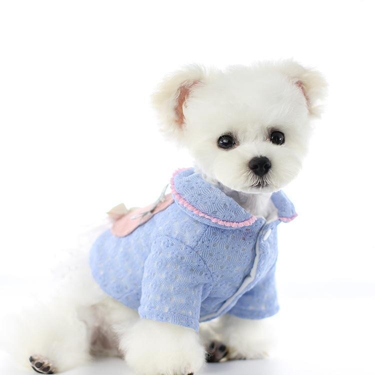 Teddy kleding biexiong bomei herfst en winterjurk huisdier pluche warme hond prinses rok kattenkleding