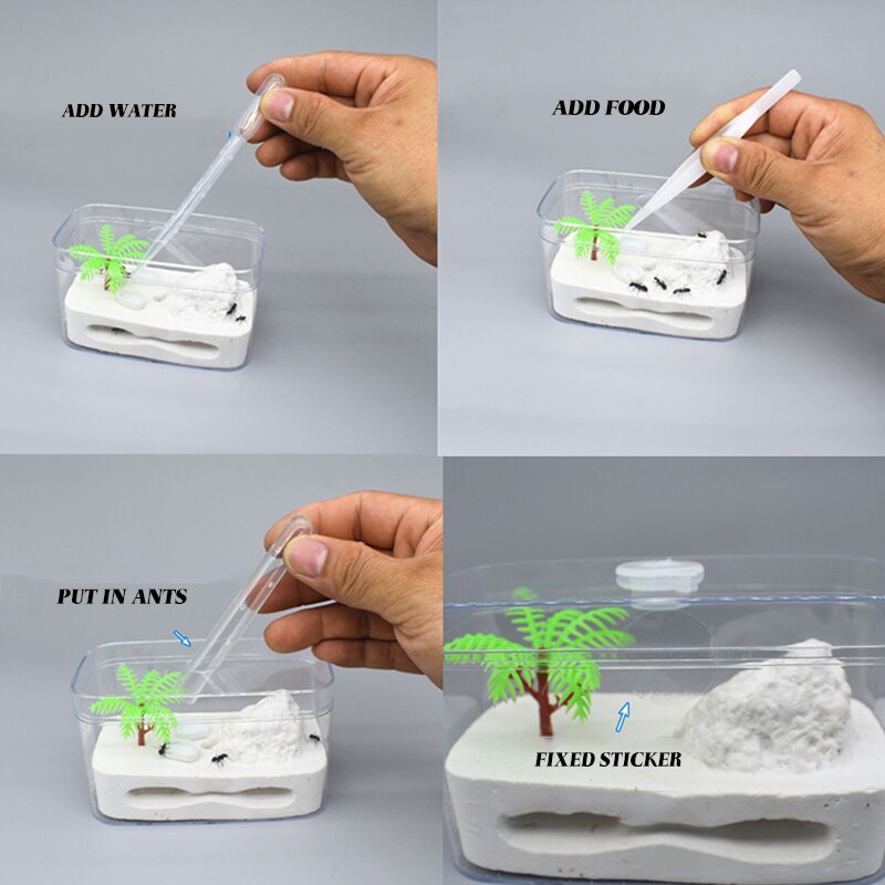 Ant House Ant Home Castle Eco Box Ant Nest Factory Cultivate Children's Interests Queen Ant Box Ant Workshop Pet Supplies