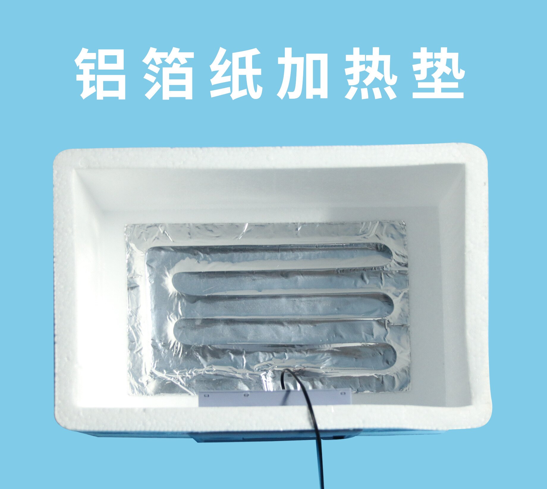 Household small water bed incubator chicken incubator pigeon Goose Egg Quail Egg full automatic temperature control incubator