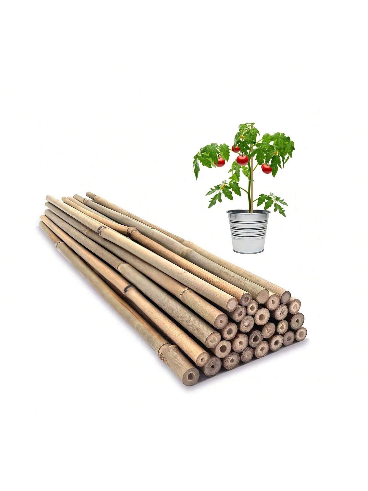 Piquets en bois de jardin en bambou, plantes en bambou écologiques, piquets en bois, plantes grimpantes, bâtons en bambou