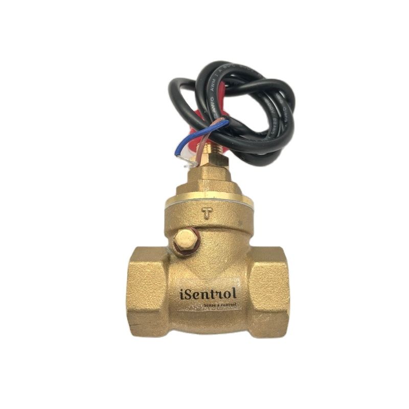 Baffle Flow Switch USB-FS21TA Normally Open Circuit Flowswitch 70W Max Load DC5-36V Reliable BSP G 1/2" Female Made of Brass