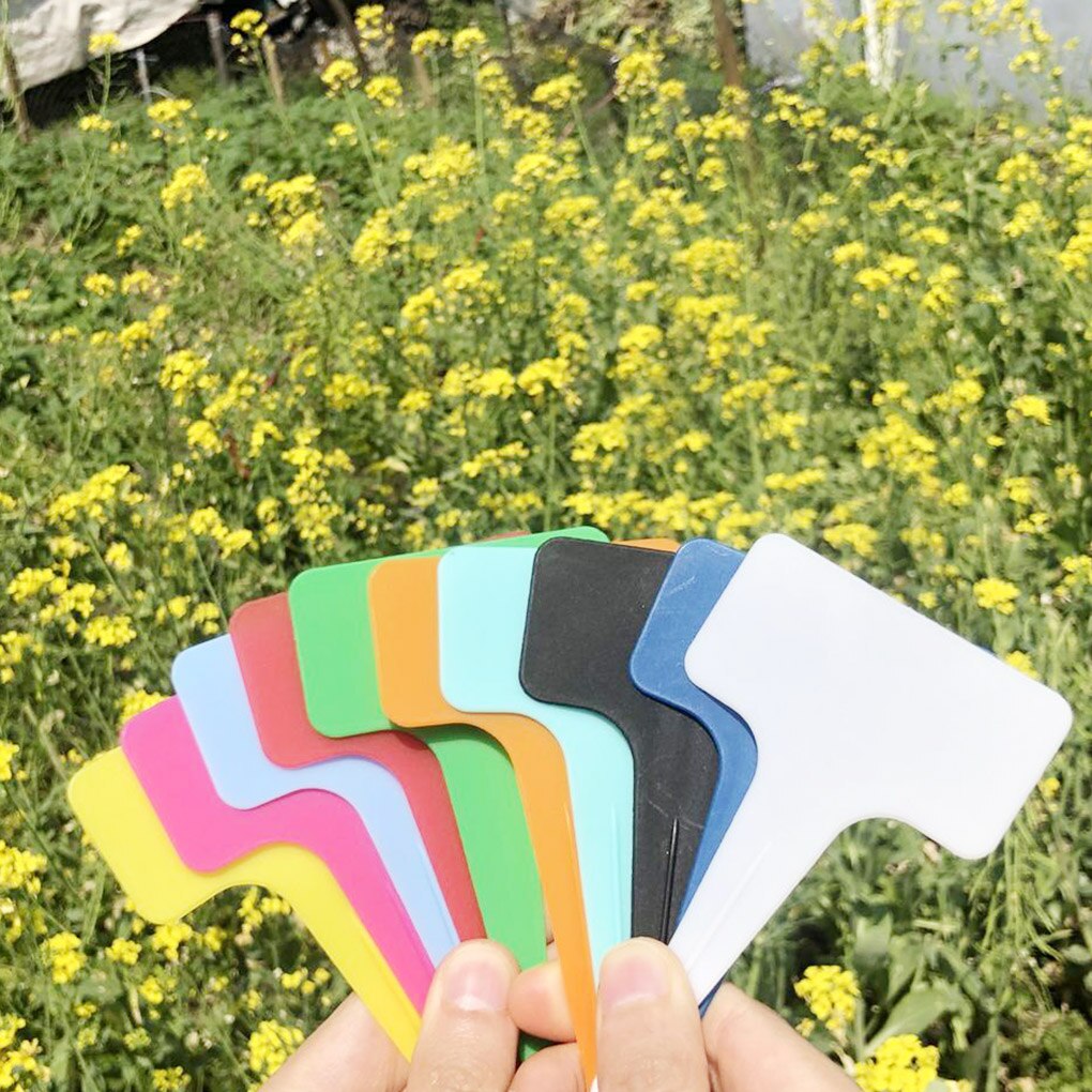100Pcs Pp Plant Bloem Labels Yard Plant Tabs Nursery Tool Tuinieren Teken 10x6cm