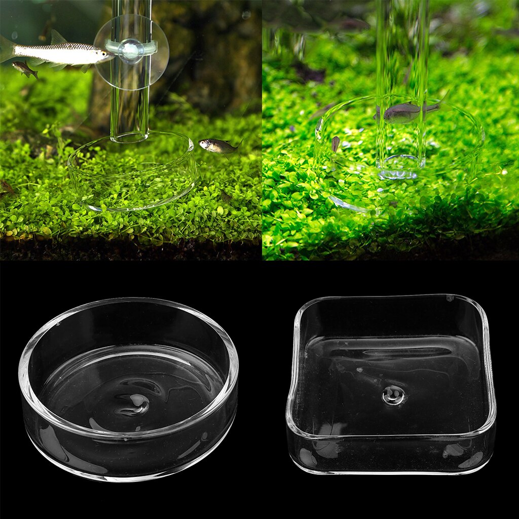 transparent Aquarium Garnelen Gericht Nützliche Aquarium Haustier Lebensmittel Wasser Zubringer Container