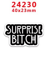 30 pcs planar resin halloween catoon resin pr24224: 24230