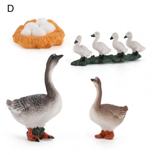 Kip Eend Gans Zwaan Groei Cyclus Simulatie Gevogelte Speelgoed Thuis Bureau Ornament Home Desk Ornament Simulatie Gevogelte Speelgoed: D