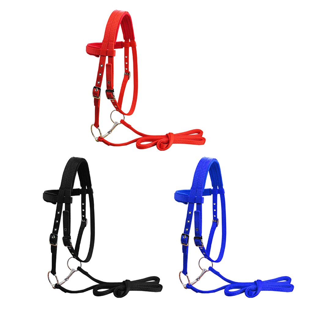 Harnais pour bride de cheval, sangles en Nylon amovibles